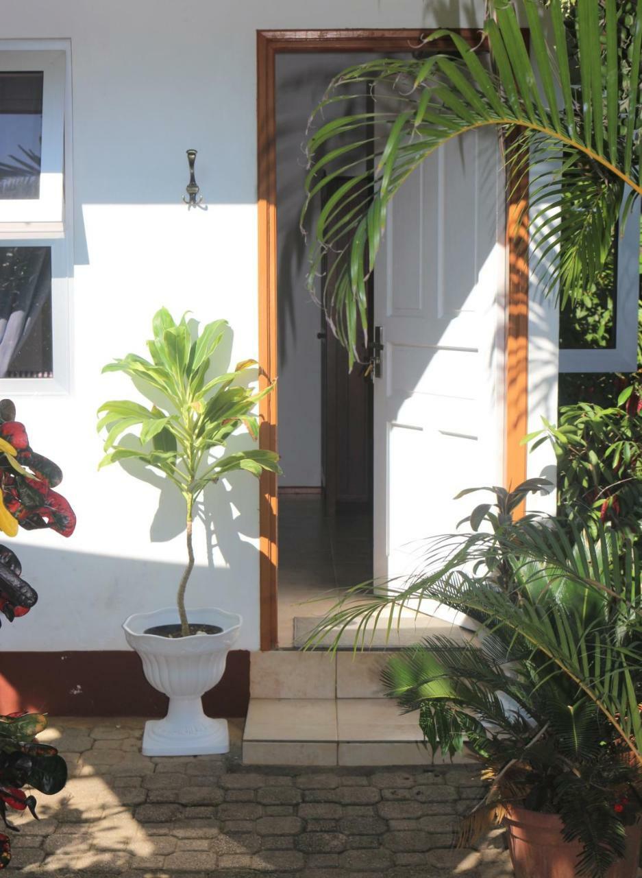 Garden Hut Daire Victoria Dış mekan fotoğraf